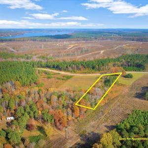 02-DJI_20251108135138_0226_D with lines