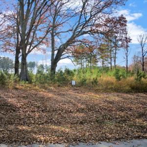 10-DJI_20251108135518_0251_D