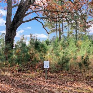 11-DJI_20251108135530_0256_D