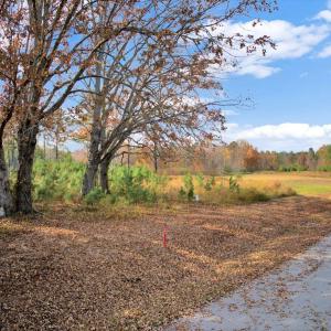 12-DJI_20251108135600_0261_D