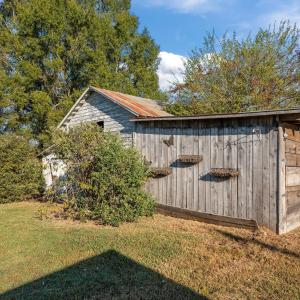 7-web-or-mls-_1677998