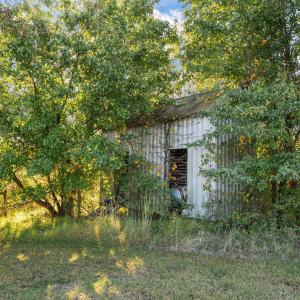 8-web-or-mls-_1677999