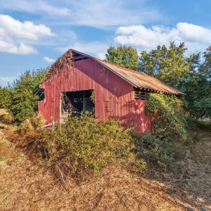 22-web-or-mls-DJI_20251016211158_0019_D