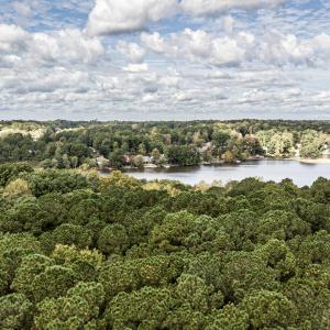 California Place Screen Shot