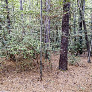 California Place Street Shot