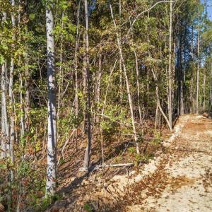 09-020_DJI_20251017162525_0718_D