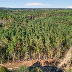 10-005_DJI_20251017161959_0643_D