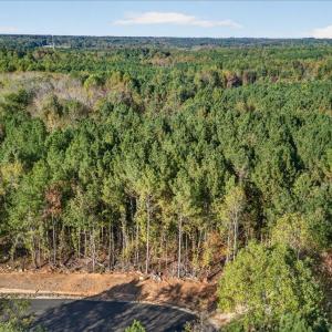 11-006_DJI_20251017162007_0646_D