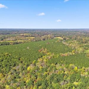 09-Finished odell macon rd (8 of 12)