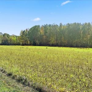 14-Finished odell macon rd (12 of 12)