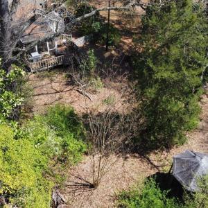 20250326162909625995000000-o