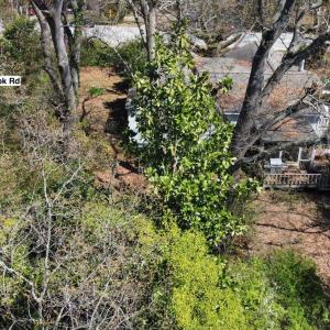 20250326162916719852000000-o