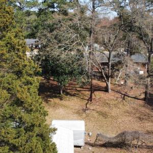 20250327023612869323000000-o