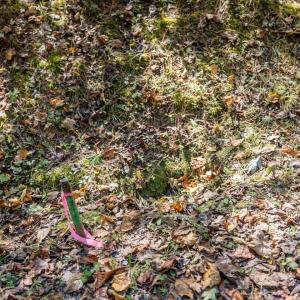 17-017-Chatham-Parcel-76369-76374-202510