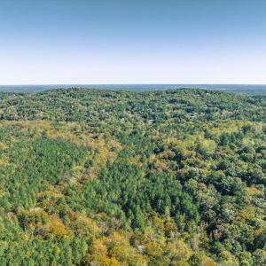 03-003-Chatham-Parcel-76369-76374-202510