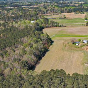 Sequence 01.00_05_46_06.Still017