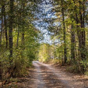 25-025-465WimberlyRd-Parcels-11549-77638