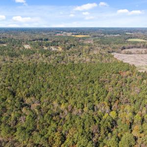 4-web-or-mls-DJI_20251024123416_0610_D