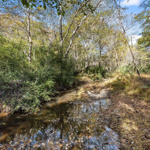 14-web-or-mls-IMG_2561