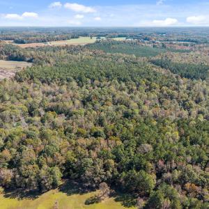 8-web-or-mls-DJI_20251024124604_0614_D