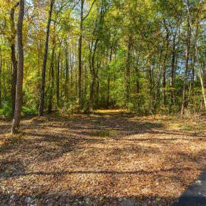 24 -1200 lake wendell rd, exterior