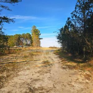 WhatsApp Image 2025-11-01 at 12.12.44_3b