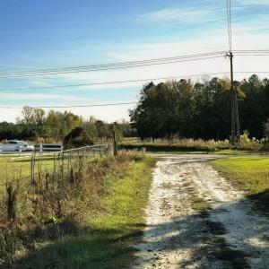 WhatsApp Image 2025-11-01 at 12.10.17_40