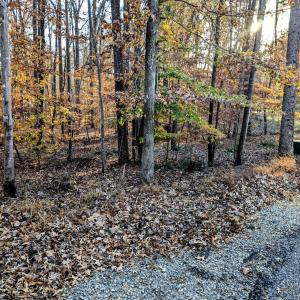 PXL_20241205_203117315~2