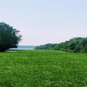 IMG_20190629_103254_1_768x576