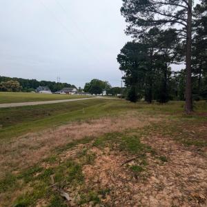 PXL_20250527_123718717~2