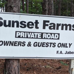 PXL_20250527_124110278