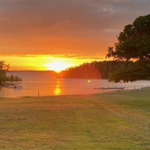 5-web-or-mls--1400652267014905340