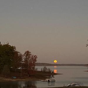 43-web-or-mls-4077785459864088088