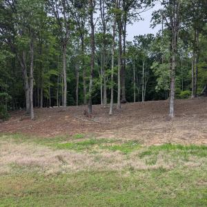 PXL_20250527_123301133