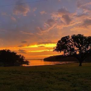 47-web-or-mls--2968379941529439601