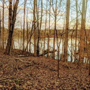 IMG_20190108_165136