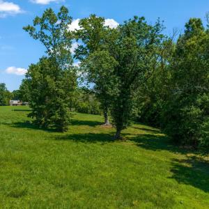 3-web-or-mls-untitled-10