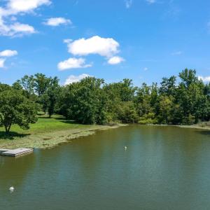 6-web-or-mls-untitled-9