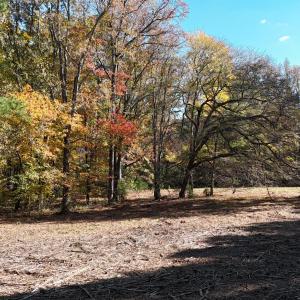 DJI_20251031135207_0158_D