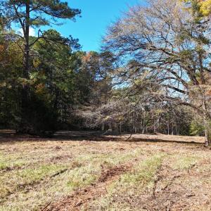 DJI_20251031135309_0161_D