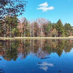 DJI_20251031135512_0164_D