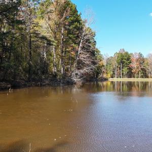 DJI_20251031135553_0165_D