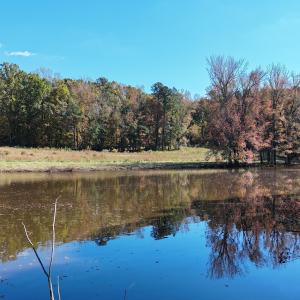 DJI_20251031135637_0166_D