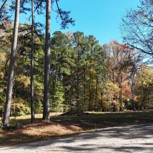 DJI_20251031135953_0173_D