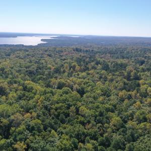 1_photo--gallup-road