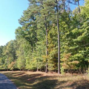 8_photo--gallup-road