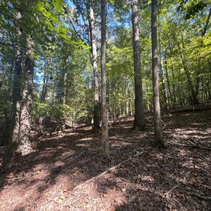 9_photo--gallup-road