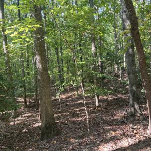 10_photo--gallup-road