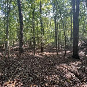 11_photo--gallup-road