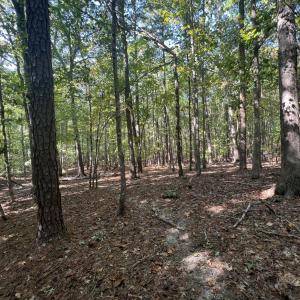 12_photo--gallup-road